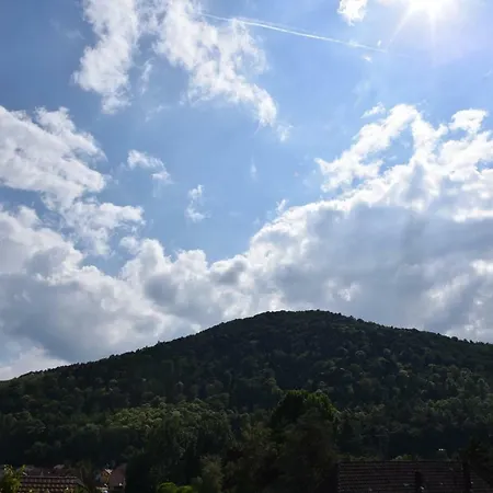 Le Cerisier Dom wakacyjny *
