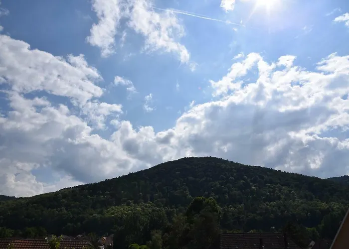 Le Cerisier Holiday home *